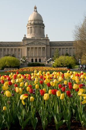 Capitol View Park