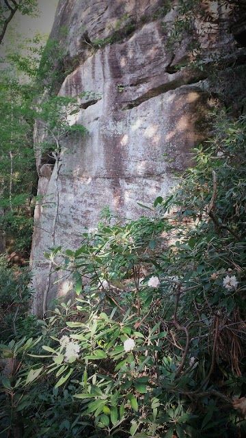 Red River Gorge Natural Health Center