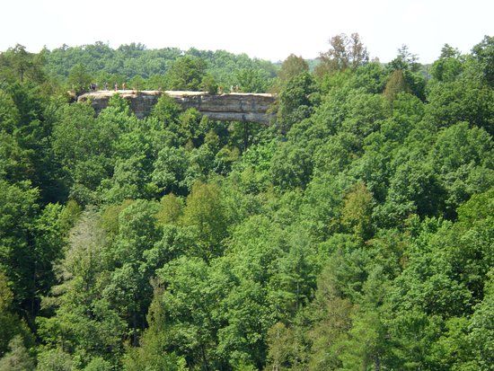 Natural Bridge State Resort Park