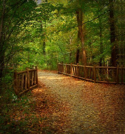 Cherokee Park