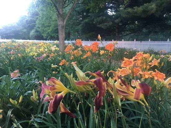 Western Kentucky Botanical Garden