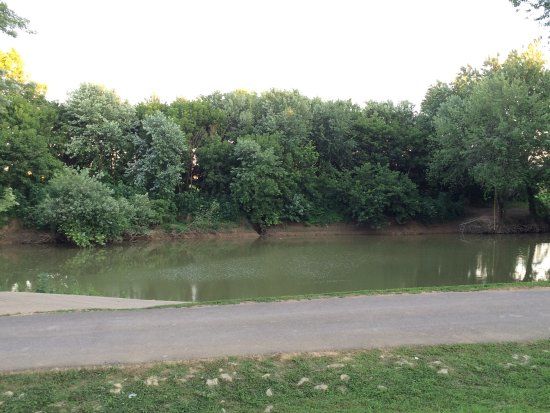 Salt River